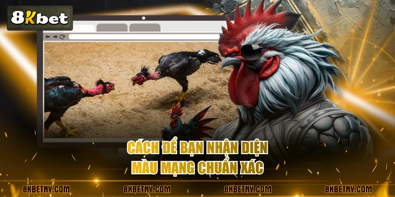 Cách Xem Màu Mạng Gà Đá Đúng Nhất Cho Tân Binh Cá Cược 4 Cách để bạn nhận diện màu mạng chuẩn xác