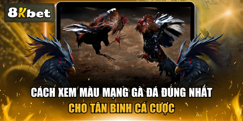 Cách Xem Màu Mạng Gà Đá Đúng Nhất Cho Tân Binh Cá Cược 1 Cách Xem Màu Mạng Gà Đá Đúng Nhất Cho Tân Binh Cá Cược