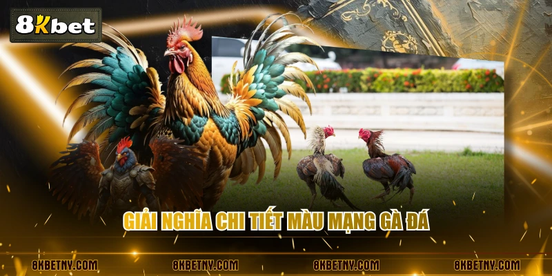Cách Xem Màu Mạng Gà Đá Đúng Nhất Cho Tân Binh Cá Cược 2 Giải nghĩa chi tiết màu mạng gà đá