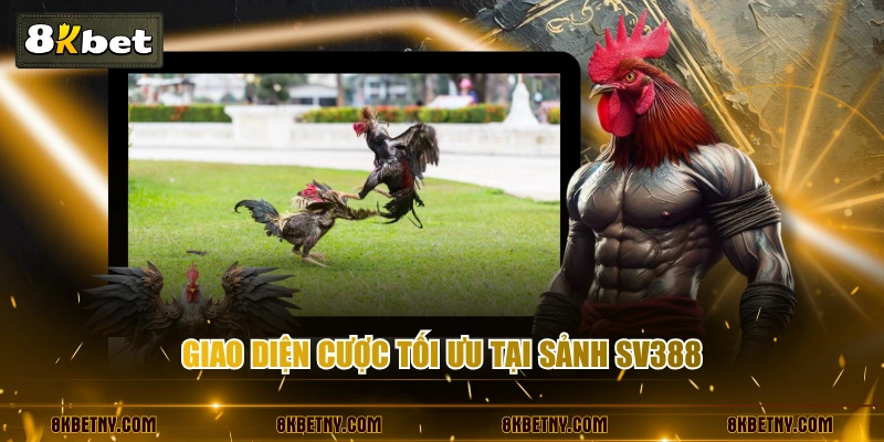 Review Sảnh Đá Gà SV388 Hiện Đại Với Tỷ Lệ Thắng Cao Nhất 3 Giao diện cược tối ưu tại sảnh SV388