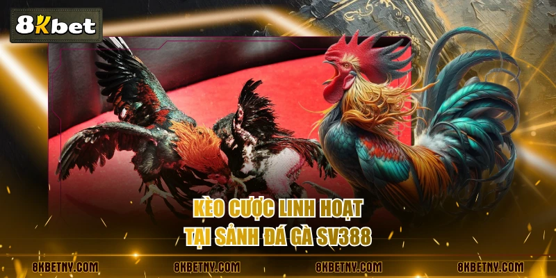 Review Sảnh Đá Gà SV388 Hiện Đại Với Tỷ Lệ Thắng Cao Nhất 4 Kèo cược linh hoạt tại sảnh đá gà SV388
